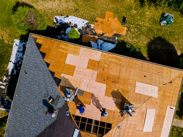 Best Storm Damage Roof Repair  in Bertram, TX